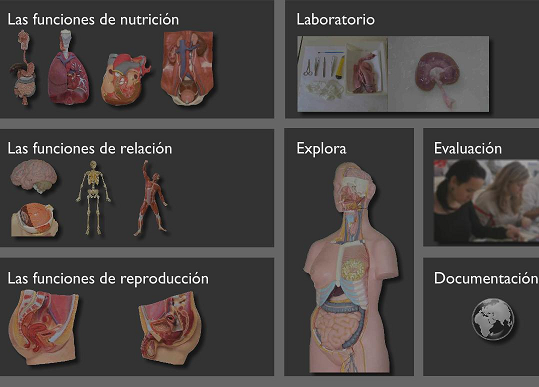Nuestro cuerpo en un Clic